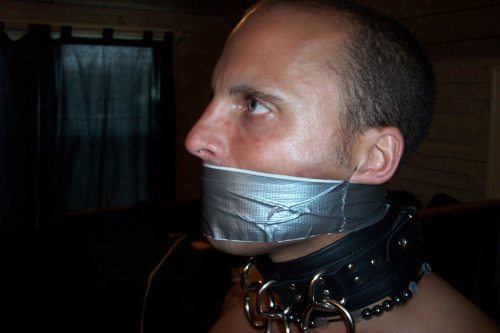 lovingair:  Waiting to see what Master does next… 