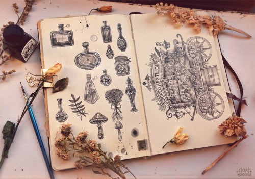 Potions and ApothecariesPencil and ink in moleskine // 2020-2021 