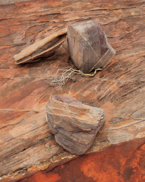 Sandstone Arrangement. 2019James Watts