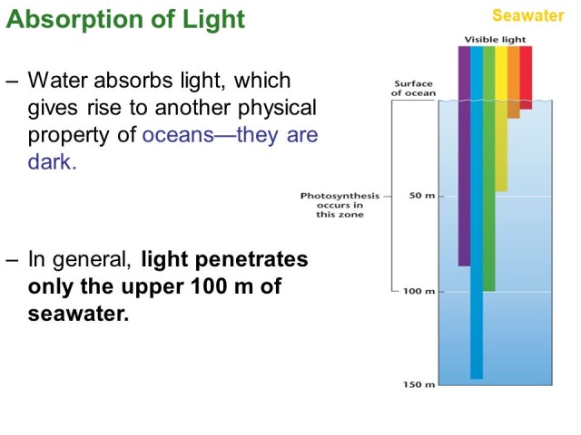 bogleech:byasuga:bogleech:sabertoothwalrus:sabertoothwalrus:sometimes I think about how red is the first color in the visible light spectrum to be absorbed in ocean waterand how many deep-sea creatures evolved to be red as a stealth adaptation, making