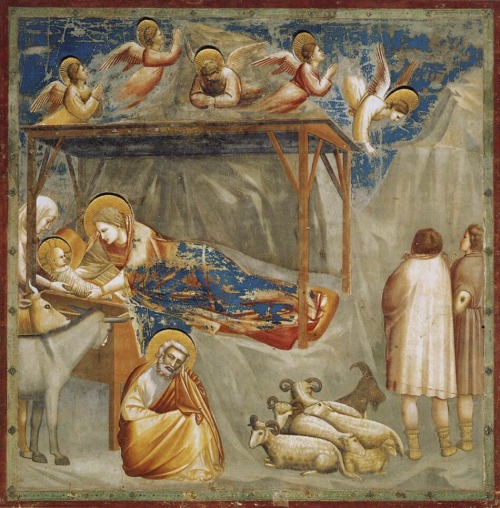 I would like to wish a very marry christmas to everyone with this Giotto painting - Nativity, Birth 