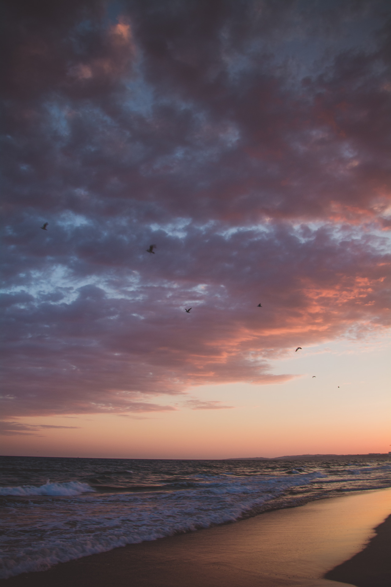 pedromgabriel:  - One after another -