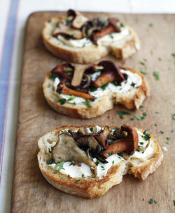 foodopia:  Wild Mushroom and Fromage Fort