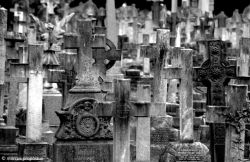 celtic-cat2u:    Counting crosses… — at Brompton Cemetery.  