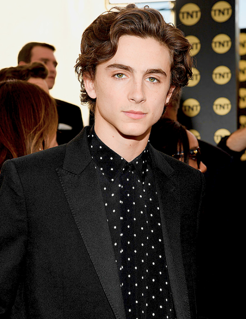 1.27.19 - Timothée Chalamet attends the 25th Annual Screen Actors’ Guild Awards at The Shrine Audito