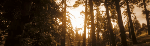 RED DEAD REDEMPTION II ⋆ Scenery (12/?) → Gif Set Inspired By The Album Preacher's Daughter By Ethel