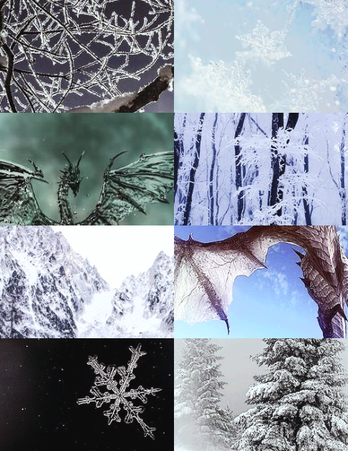 icy dragon aesthetic