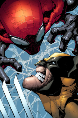 westcoastavengers:  Superior Spider-Man Vs Wolverine by Ryan Stegman