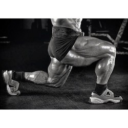 swoldiers-of-doomsday:  drwannabe:  lunges.