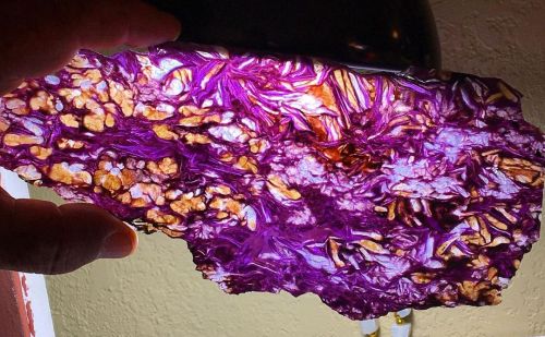  World’s most beautiful Charoite slab!! Impossibly thin slice of charoite, backlit to reveal the ama