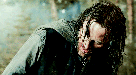The Muddier And Dirtier [Aragorn] Gets, The Better He Looks, Dont You Think? - Miranda Otto, The Two