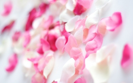 Blissful Luxury