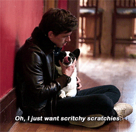 quellfalconer:In which Antoni Porowski is all of us