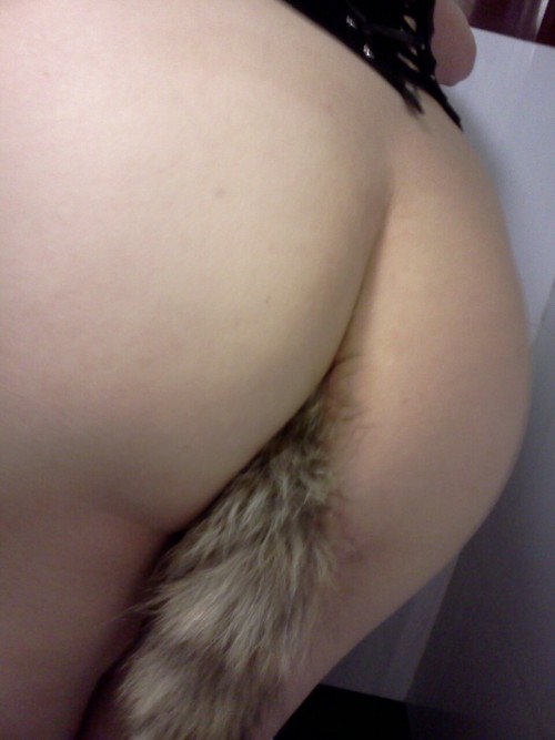 Sex mastersunrulypet:  My first tail! I have pictures