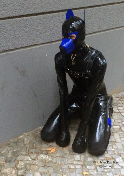 pupbolt:  According some Folsom friends,