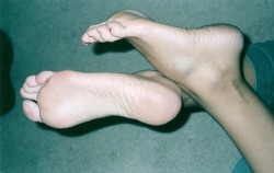 venom7214:  my wifes feet and soles