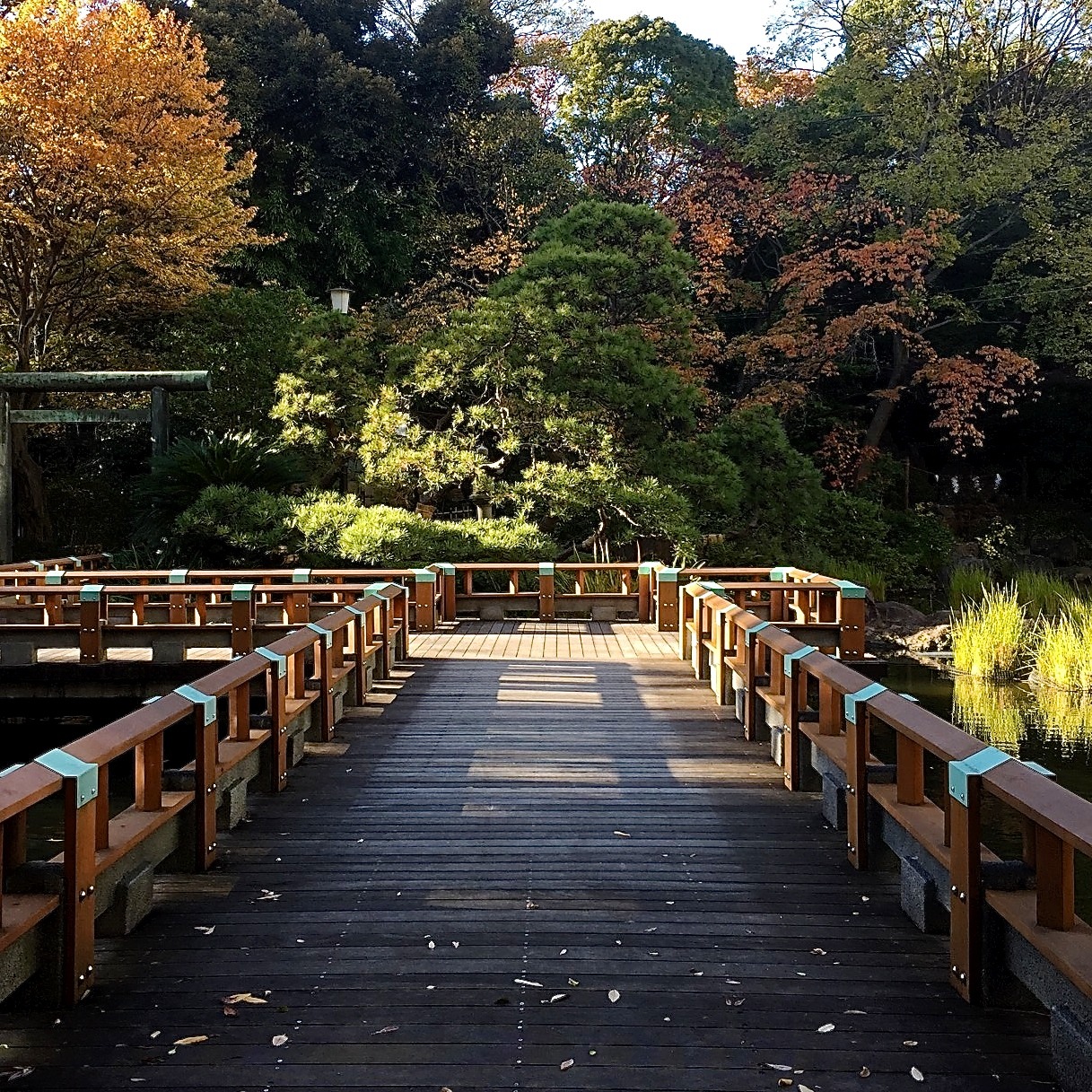 japan-perspective:一点透視 @ 東郷神社One point perspective @ Tougou Shrine,