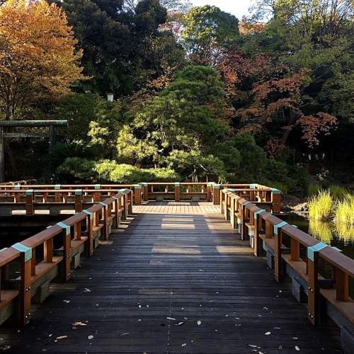 japan-perspective: 一点透視 @ 東郷神社One point perspective @ Tougou Shrine, Tokyo, Japan