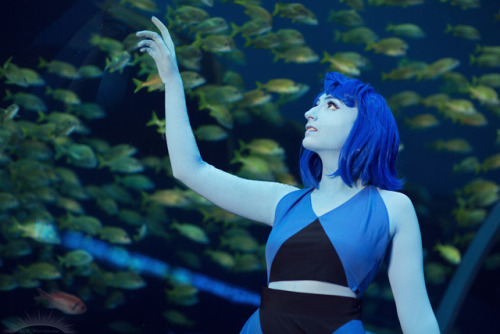 Lapis at the Georgia Aquarium. Photos by uv photography