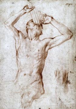 Agnolo di Cosimo (Il Bronzino)  Seated Male Nude, with Head Lifted and Playing Pan Pipes 16th century