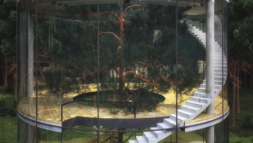 mymodernmet: Translucent Home Built Around a Tree in a Kazakh Forest i’d love to see this future ^_^