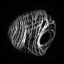 larval