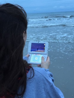 sariae:  when you’re on the beach in animal crossing and also on the beach in real life