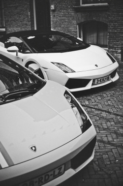 automotivated:  Brothers Bull Pt. II (by