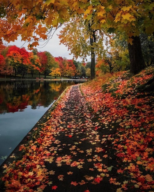 bookofoctober:Parc La Fontaine, Montreal. Photo by karlvibes