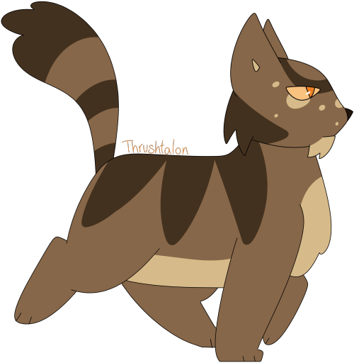 [Image Description: A digital drawing of Thrushtalon from the Warrior Cats books. Thrushtalon is a b