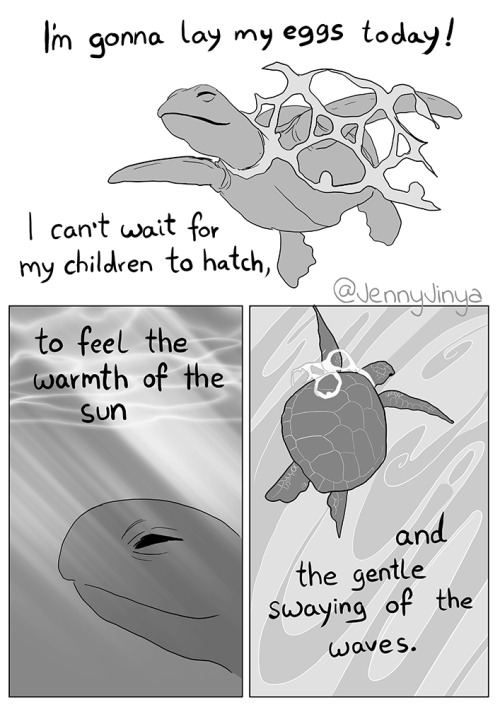 jenny-jinya:  I really wanted to draw a comic about green turtles ;_;they’re facing so many hardships and are classified as endangered.   I want this issue to get more attention. 