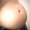 Sex the-bloated-belly-boy:lucamart:Round shaped pictures