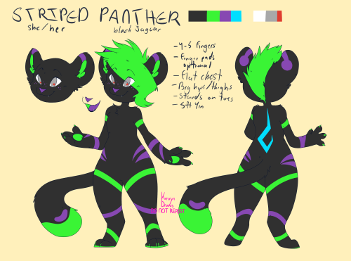 a rather lazy new reference of my fursonathere she is. appreciate her