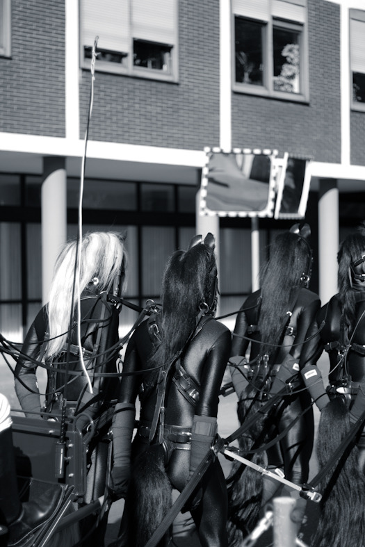 juliakrotzek:  photography by Julia Krotzek 
