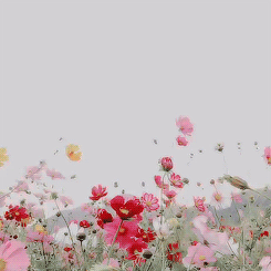 noiropia-blog:Paradise. 