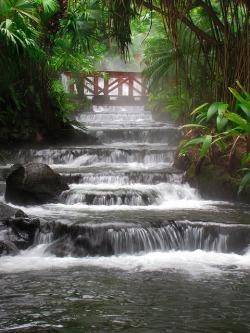 sachairimaccaba: Hot Springs Waterfall, Arenal
