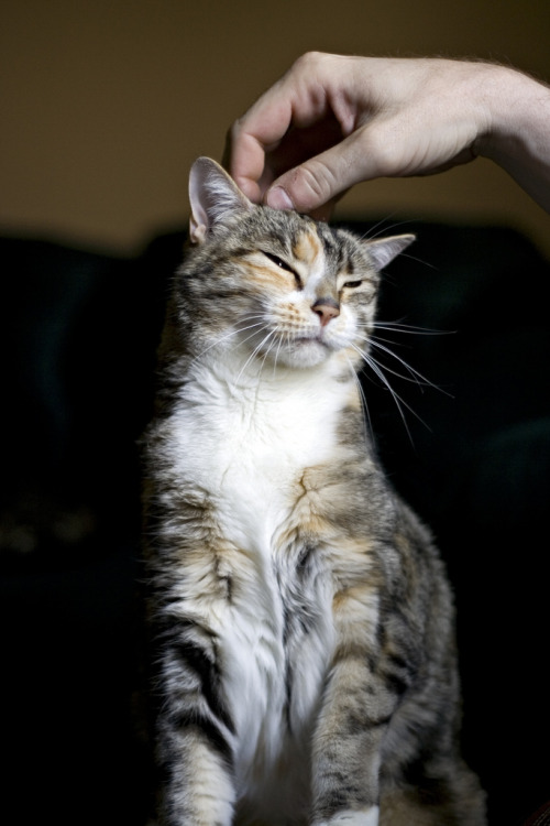 “That’s the spot” (by Kerrie Lynn Photography (Sugaree_GD))