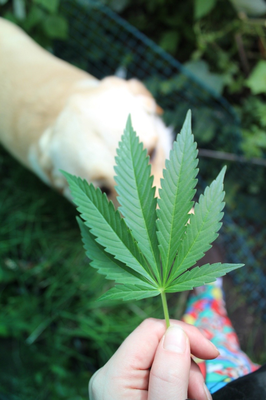 brndns-baked:  Same lol