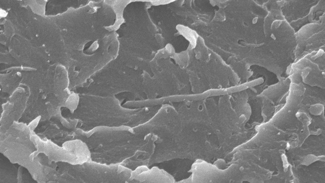 From whoops to wow: IBM accidentally creates the first new polymer in 30 years
The amazing new material is stronger than bone, completely recyclable, and could revolutionize manufacturing.