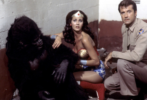 stewardessesandassortedothers:  That monkey knew what he was doing…..