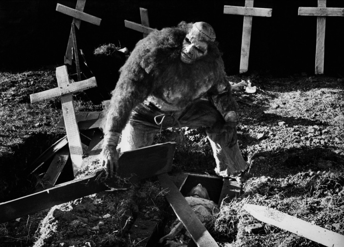 Frankenstein et le monstre de l'enfer, 1974.