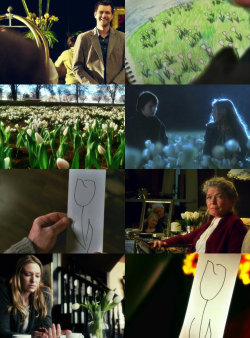 dunham-olivia:  I knew the tulip would give you strength, as it had before. It was your symbol of hope and absolution. It gave you the courage to push on. 