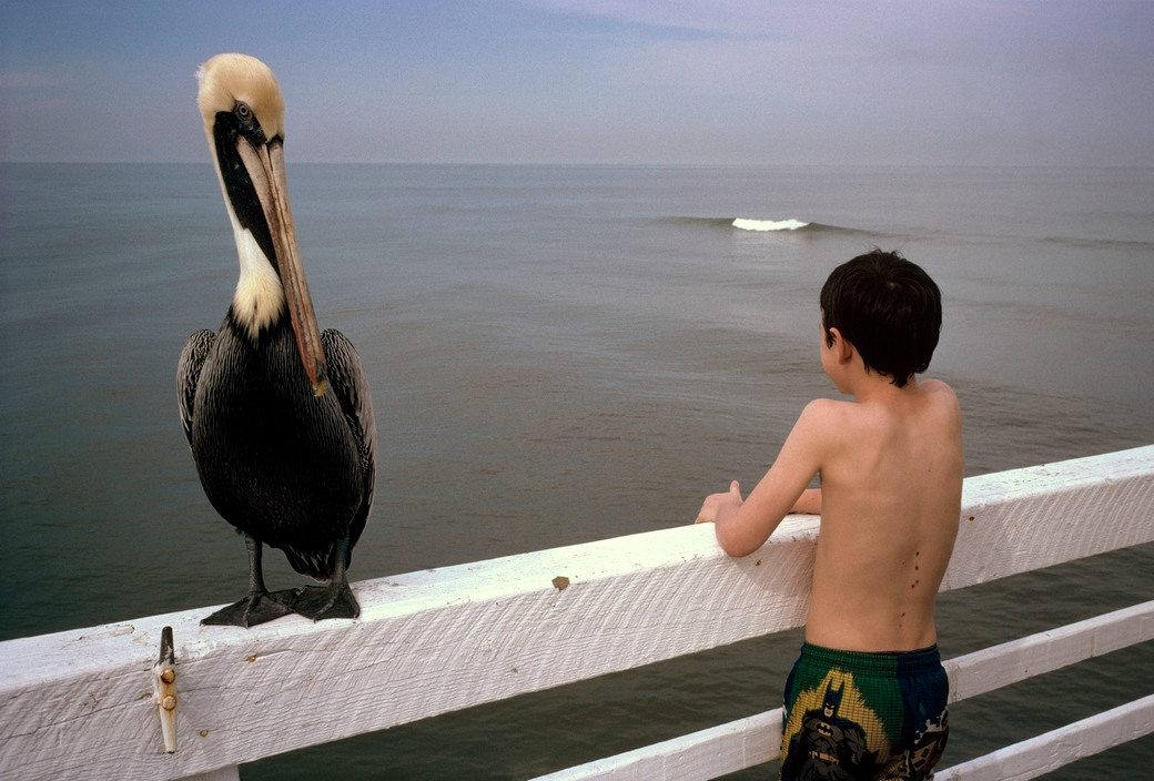 PÁJARO y NIÑO