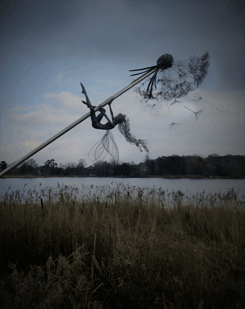 The Witch And The Fae