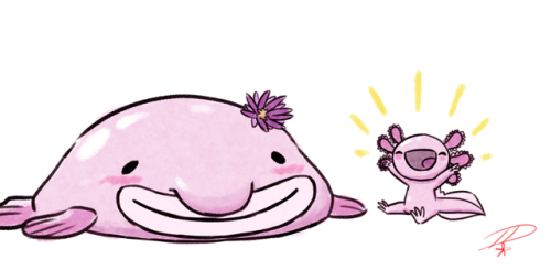 micaxiii: micaxiii: Squishy got a new friend.Their name is Squashy. They would like to thank the aca
