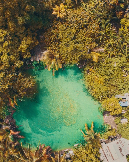 trinbagoculture: Mc Bean Village. Caroni. Trinidad and Tobago.