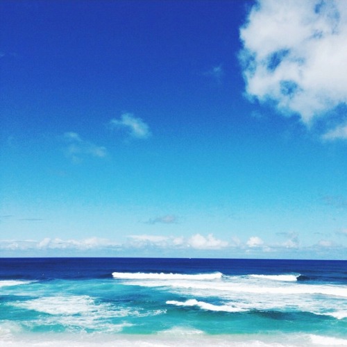 inxke: the-ocean-paradise: sunkissed &amp; sandy •✩ ig: @inka_hemstra ✩•  