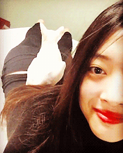 choissul:    jin_ri_sul:    I’m resting, stop making me say somethingㅡㅡ