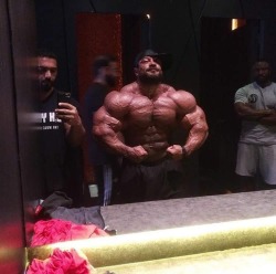 ​Roelly Winklaar - 2 weeks out from the