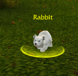 salorast:  dimedog:  vespayik:  that ain no rabbit  uh, excuse me, some animals might identify as other animals. Who are you to tell them what they are or are not? Check your fucking privilege. Die worgen scum.  oH MY GOD  Crittermorph glyph FTW!